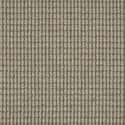Abbey's Road - ZZ013_00526-Carpet