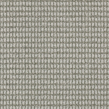 Abbey's Road - ZZ013_00556-Carpet