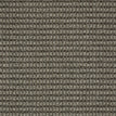 Stylish Gray