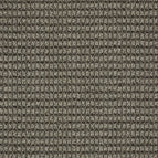 Stylish Gray