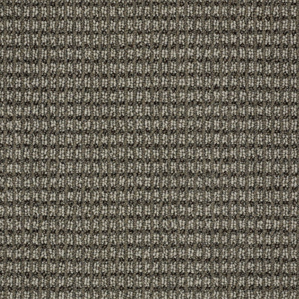 Abbey's Road - ZZ013_00573-Carpet