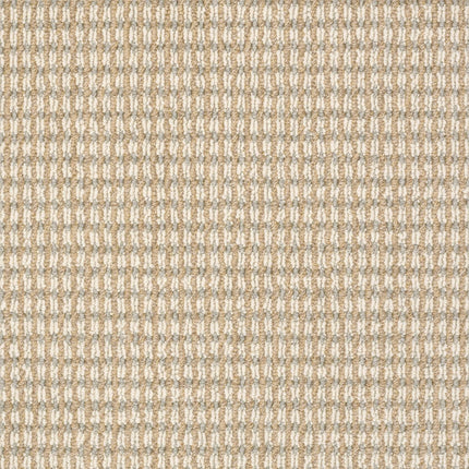 Abbey's Road - ZZ013_00252-Carpet