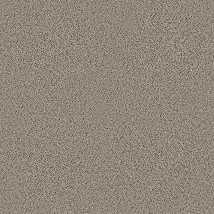Abilene I - 5E821_00176-Carpet