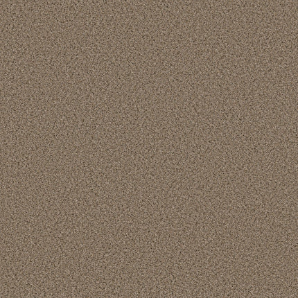 Abilene I - 5E821_00770-Carpet