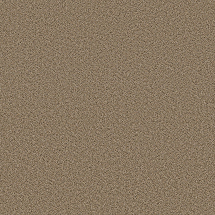 Abilene I - 5E821_00270-Carpet
