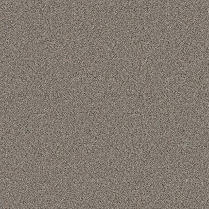 Abilene I - 5E821_00573-Carpet