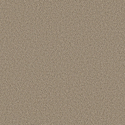 Abilene I - 5E821_00174-Carpet