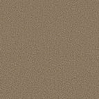 Bridle Leather