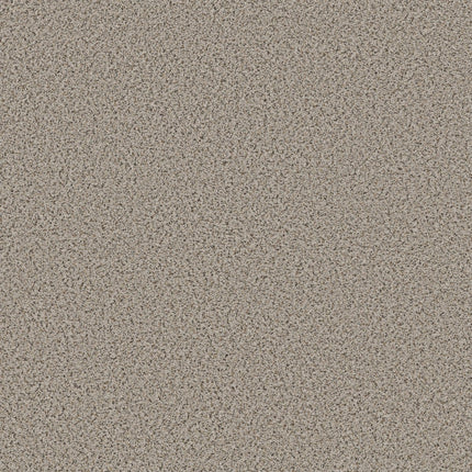 Abilene II - 5E822_00171-Carpet