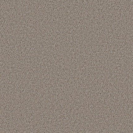 Abilene II - 5E822_00570-Carpet