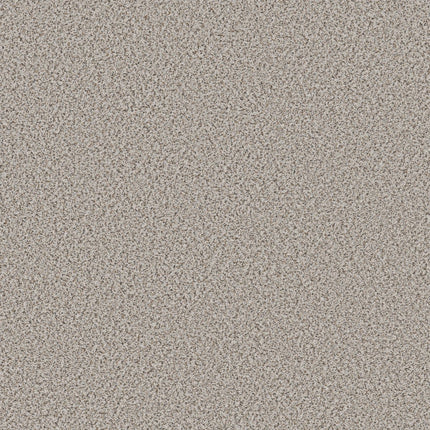 Abilene II - 5E822_00170-Carpet