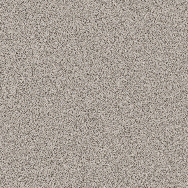 Abilene II - 5E822_00170-Carpet