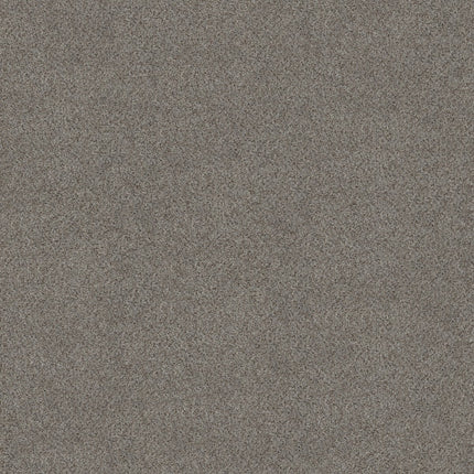 Abilene II - 5E822_00573-Carpet