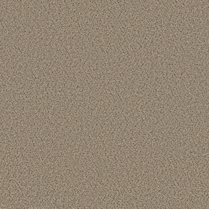 Abilene II - 5E822_00175-Carpet
