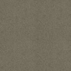 City Gray