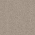 Smoky Suede