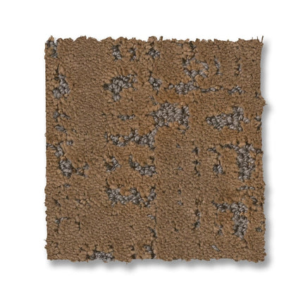 Adair - ZZ364_00702-Carpet