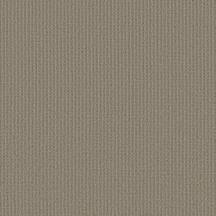 AERIAL ARTS - 5E040 - 00700 - Carpet