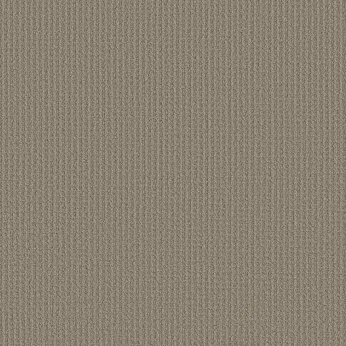 AERIAL ARTS - 5E040 - 00700 - Carpet