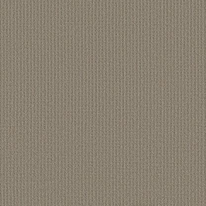 AERIAL ARTS - 5E040 - 00700 - Carpet