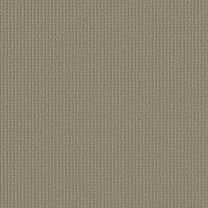 AERIAL ARTS - 5E040 - 00701 - Carpet