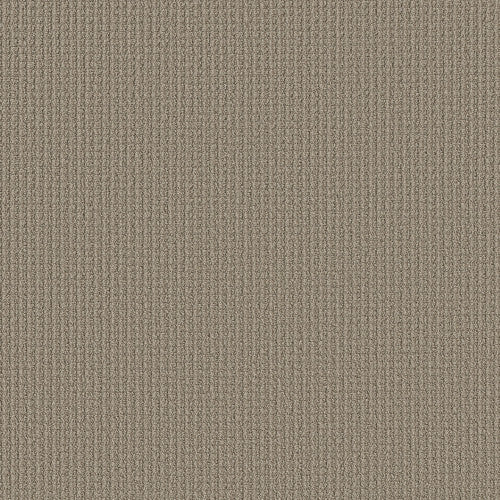 AERIAL ARTS - 5E040 - 00701 - Carpet