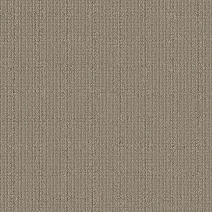 AERIAL ARTS - 5E040 - 00701 - Carpet