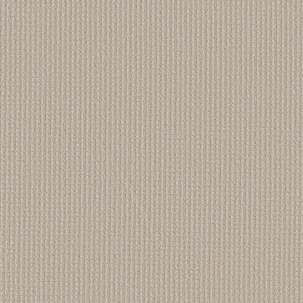 AERIAL ARTS - 5E040 - 00103 - Carpet