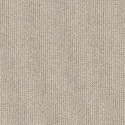 AERIAL ARTS - 5E040 - 00103 - Carpet