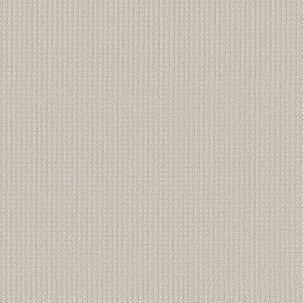 AERIAL ARTS - 5E040 - 00100 - Carpet