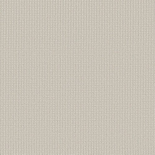 AERIAL ARTS - 5E040 - 00100 - Carpet