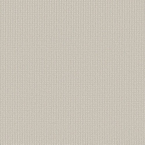 AERIAL ARTS - 5E040 - 00100 - Carpet