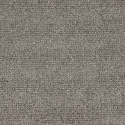 AERIAL ARTS - 5E040 - 00503 - Carpet
