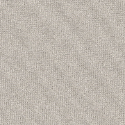 AERIAL ARTS - 5E040 - 00500 - Carpet