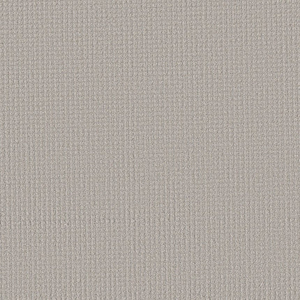 AERIAL ARTS - 5E040 - 00501 - Carpet