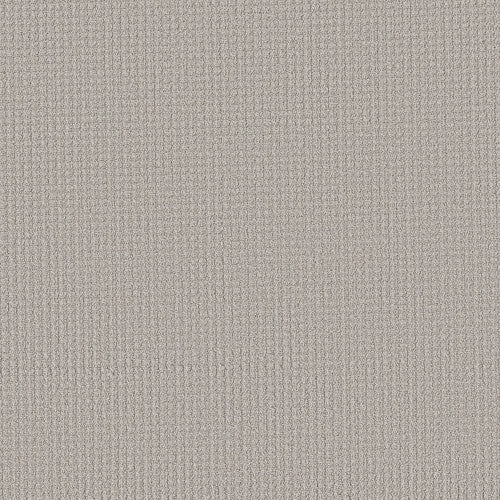 AERIAL ARTS - 5E040 - 00501 - Carpet