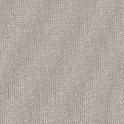 AERIAL ARTS - 5E040 - 00501 - Carpet