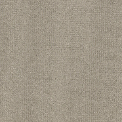 AERIAL ARTS - 5E040 - 00106 - Carpet