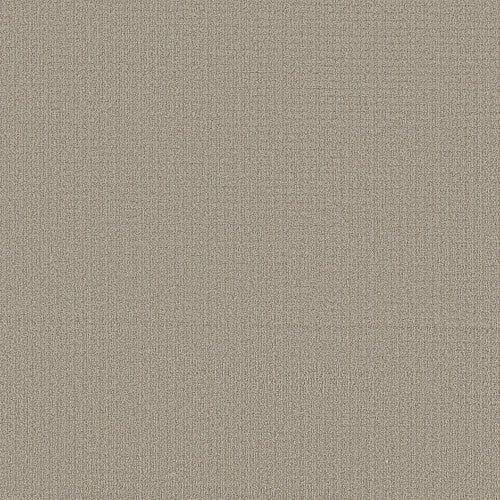 AERIAL ARTS - 5E040 - 00106 - Carpet