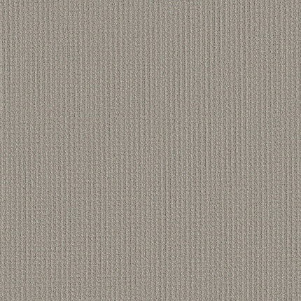 AERIAL ARTS - 5E040 - 00502 - Carpet