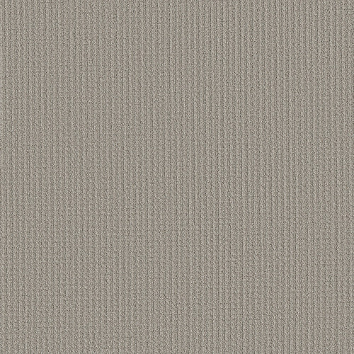 AERIAL ARTS - 5E040 - 00502 - Carpet