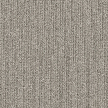 AERIAL ARTS - 5E040 - 00502 - Carpet