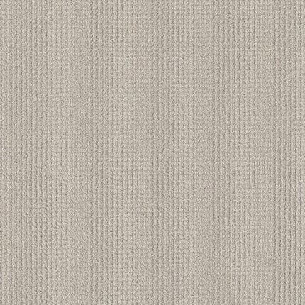 AERIAL ARTS - 5E040 - 00102 - Carpet