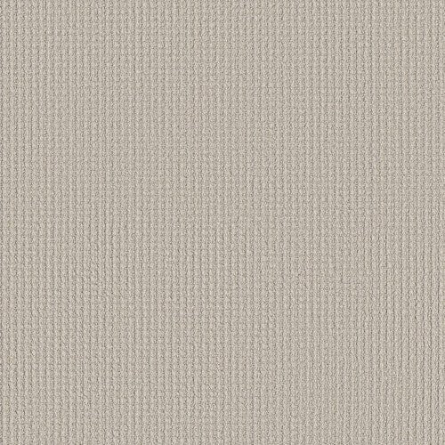 AERIAL ARTS - 5E040 - 00102 - Carpet