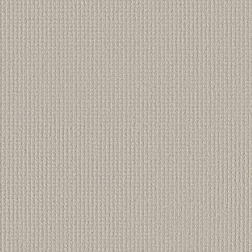 AERIAL ARTS - 5E040 - 00102 - Carpet