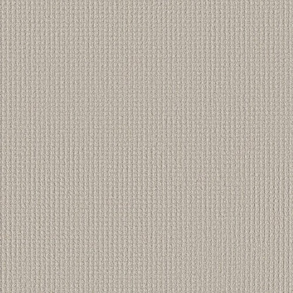 AERIAL ARTS - 5E040 - 00102 - Carpet