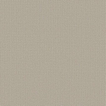 AERIAL ARTS - 5E040 - 00105 - Carpet