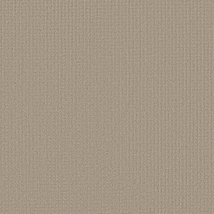 AERIAL ARTS - 5E040 - 00104 - Carpet