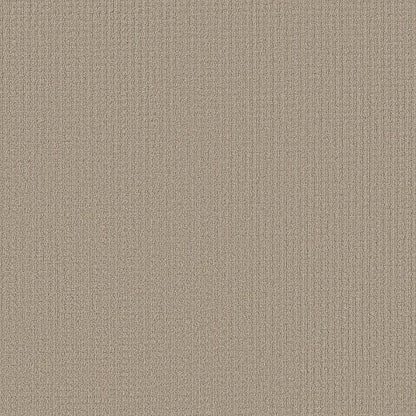 AERIAL ARTS - 5E040 - 00104 - Carpet