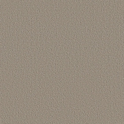 AERIAL VIEW - 5E041 - 00700 - Carpet